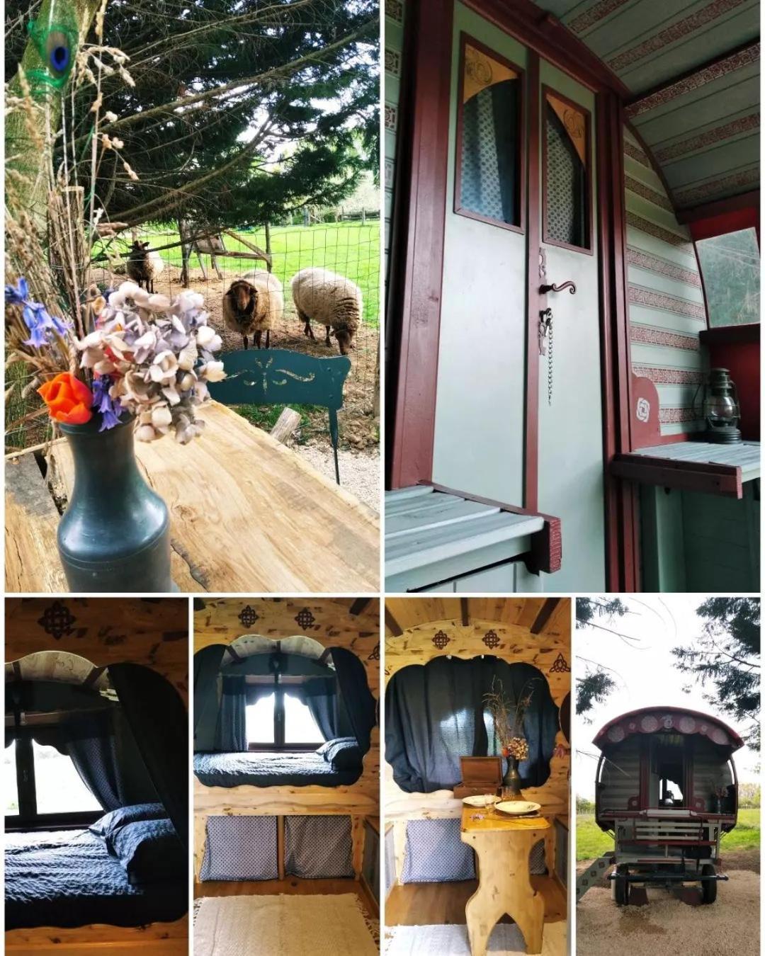 Готель Roulotte Irlandaise Polly Saint-Vincent-en-Bresse Екстер'єр фото
